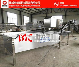 芥菜清洗機選購指南 為何明超機械備受青睞？