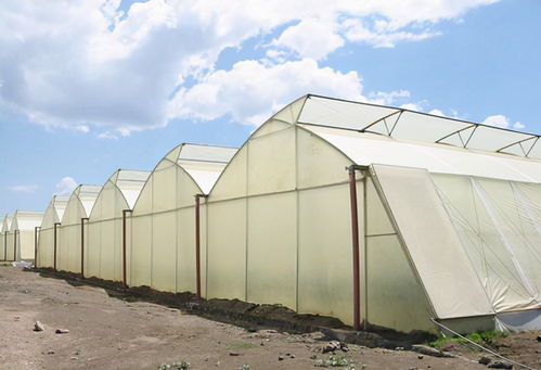 薄膜溫室大棚設(shè)計(jì)中風(fēng)壓取值的確定方法