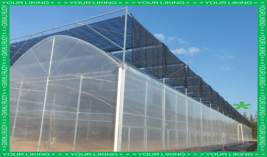 連棟薄膜溫室大棚項(xiàng)目火熱施工中，大棚薄膜技術(shù)助力現(xiàn)代農(nóng)業(yè)