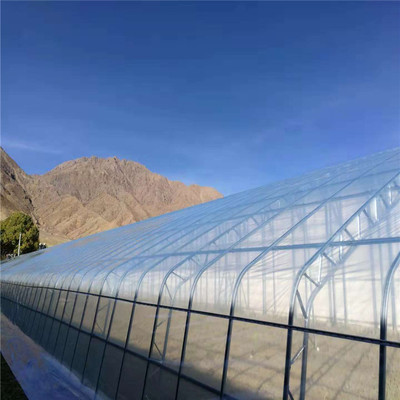 連棟薄膜溫室大棚 現(xiàn)代設(shè)施農(nóng)業(yè)值得信賴的堅(jiān)實(shí)伙伴