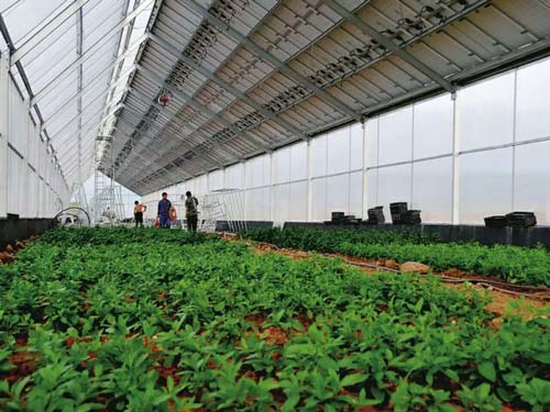 楚宏農業 專業打造昆明溫室大棚，助力高原特色農業發展